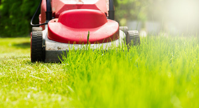 Lawn mower cutting garden grass